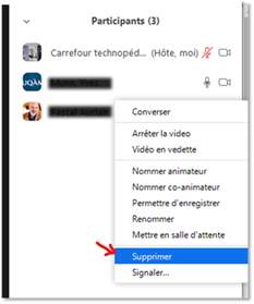 Aperçu de l’image